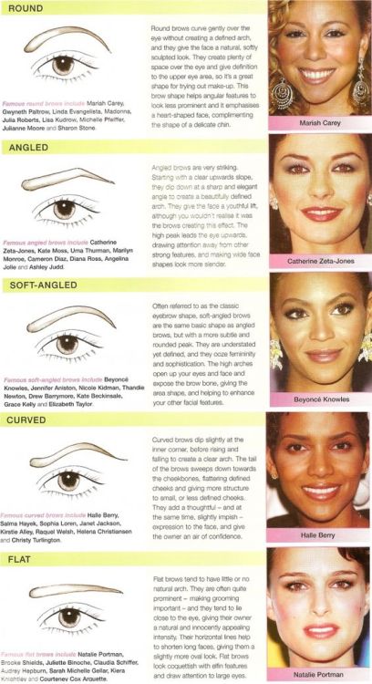 Eyebrow Beauty Infographics from Nova &amp; Knox