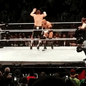 unstablexbalor:Sami giving Triple H the crotch chop is the only reason why I giffed this. (x)