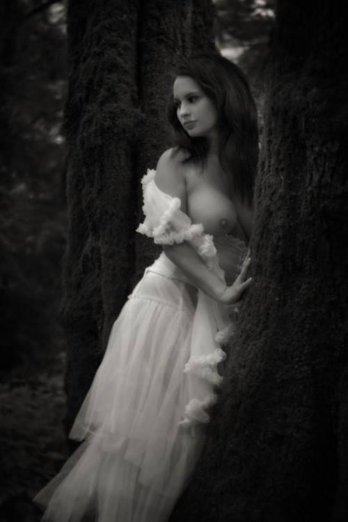 brujagood:  Forest (by hypnoticphotos). . See it: http://ift.tt/1nfe18N