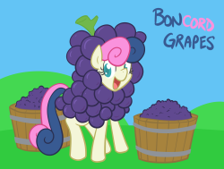 bonpun:Boncord Grapes xP