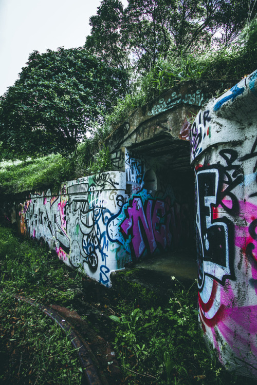 I found out the other day that there are a bunch of WW2 bunkers scattered around Wellington. This wa