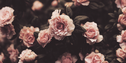 one-day-happiness-will-find-you:  - 