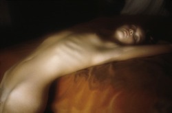 soyatree-blog:   David Hamilton