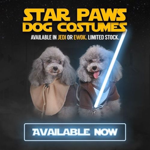 There has been an awakening&hellip; have you smelt it?  #StarPaws Star Wars dog costum