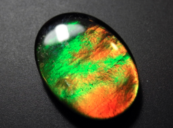 sixpenceee:  Ammolite is a trade name given to a thin iridescent aragonite shell material that is found on two species of extinct ammonite fossils. 