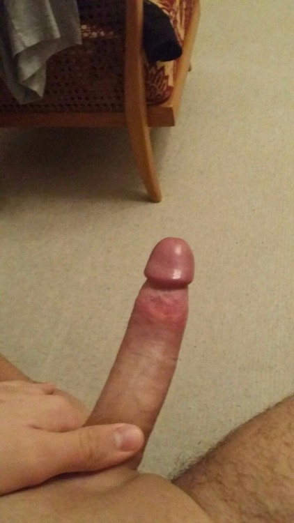 8.5 inches