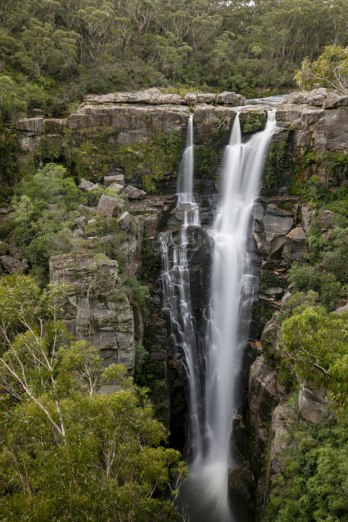 2020: Carrington Falls, in the Budderoo National Park, drops off the Illawarra Escarpment, comprised