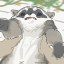 trash-panda92