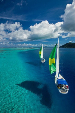 gyclli:  Crystal clear sea French Polynesia / by easyservicedapartments 