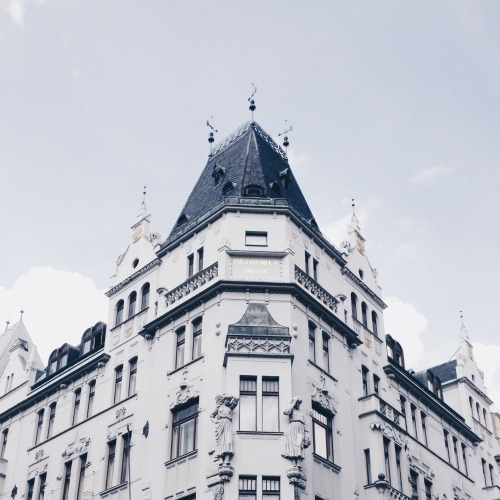 danielodowd:  lilymcfly