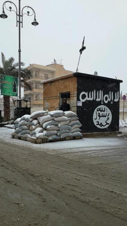 gharibafisabilillah:  Welcome to the Territory of the Islamic State of Iraq and Shaam :))) 