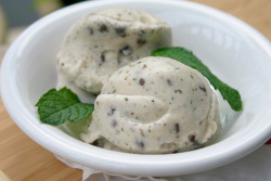 im-horngry:  Vegan Mint Chocolate Chip Ice