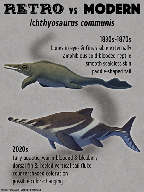 Retro vs Modern #05: Ichthyosaurus communisFossilized ichthyosaur bones have been found for centurie