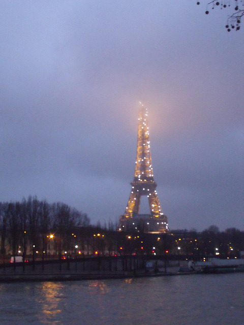 parisbeautiful:  Eiffel Tower by DaliaNoir on Flickr.