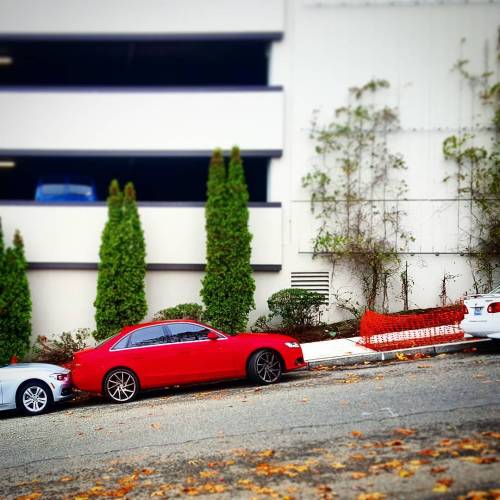 White Car smashed Red Car, Red Car smashed Silver Car. Red Car Driver is going to come out of whatev