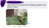 headspace-hotel:Mom sent me a facebook link to a PBS news hour post about how the anti-lawn movement is growing. The vast majority of the comments on it were stuff like this: Most people are on our side here, even the so-called “boomers.”