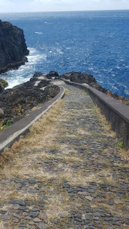 ‘Forgotten Stairway’ Caniço de baixo, Madeira 