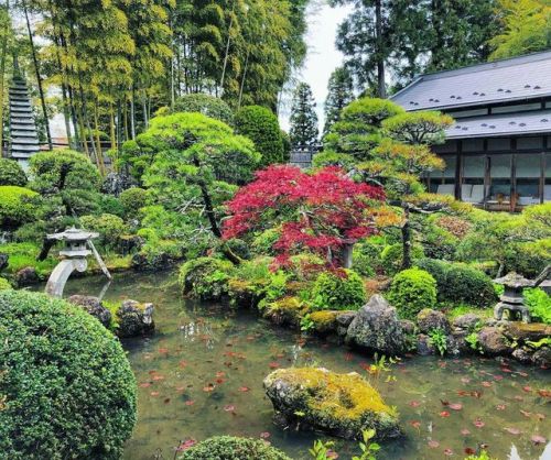 ＼おにわさん更新情報／ ‪[ 宮城県仙台市 ] 永昌寺庭園 Eisho-ji Temple Garden, Sendai, Miyagi の写真・記事を更新しました。 ―― #伊達政宗 の生母で #最