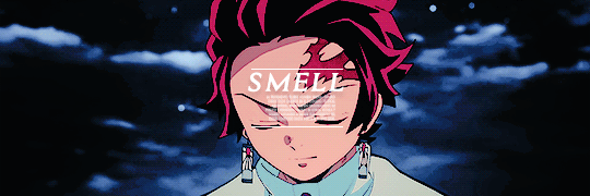 花手紙 Kimetsu No Yaiba 5 Senses