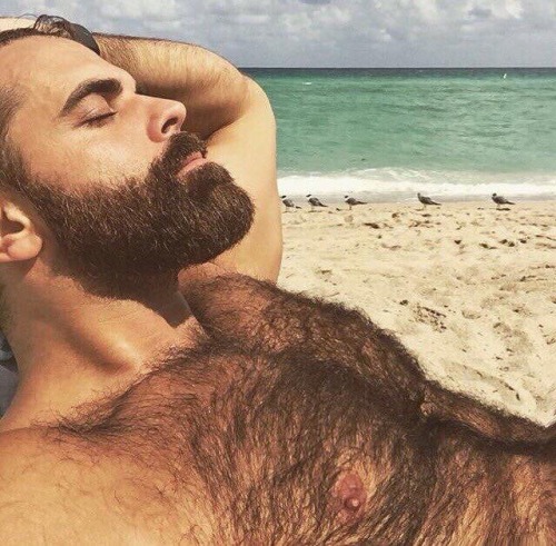 harrybacks:  BlackBeards 25   Eyes, pecs and fur.