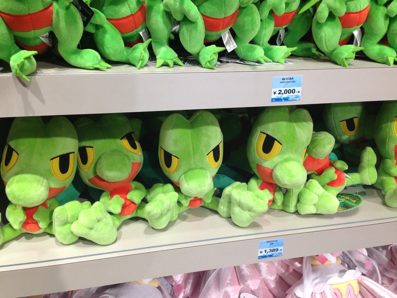 zombiemiki:  ORAS release day! I arrived at the Tokyo Pokemon Center at 7 am and