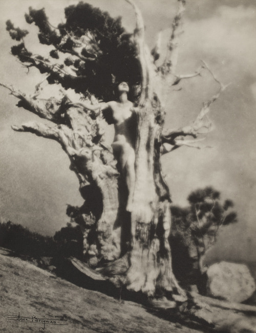 nevver:Season of the Witch, Anne Brigman