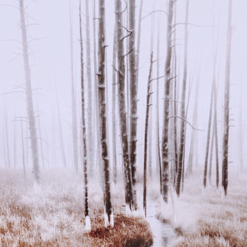 Norse Mythology From A To Z: 