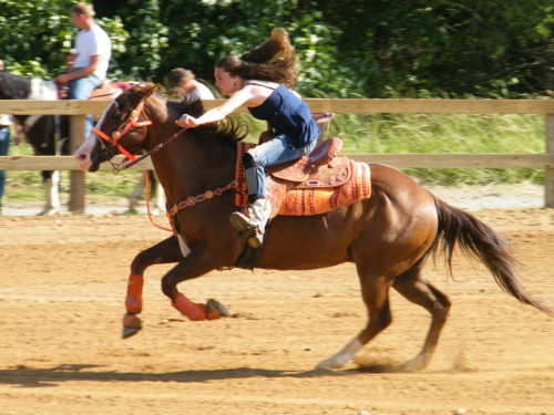 XXX equine-awareness:  “Kick Him On!” An photo