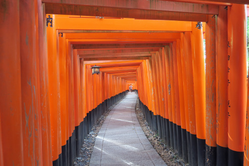 Approach to the shrine ,Kyoto