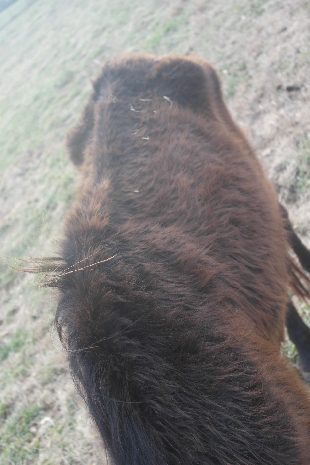 thatweirdhorsegirl:  thatweirdhorsegirl:  thatweirdhorsegirl:  PLEASE PLEASE PLEASE
