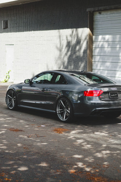 wearevanity:  Audi RS5 