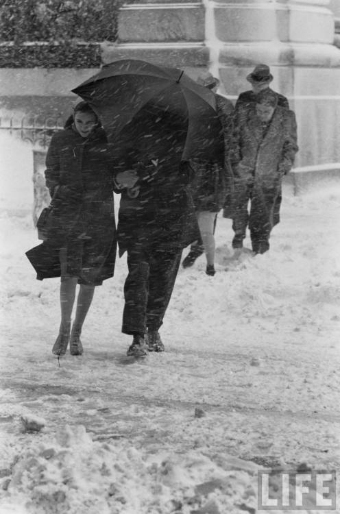 Winter weather(Al Fenn. 1961)
