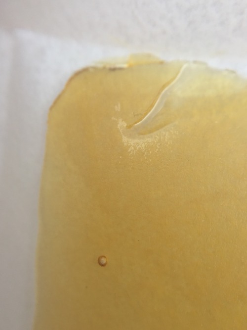 veraisastoner: Lemon drop nug run shatter