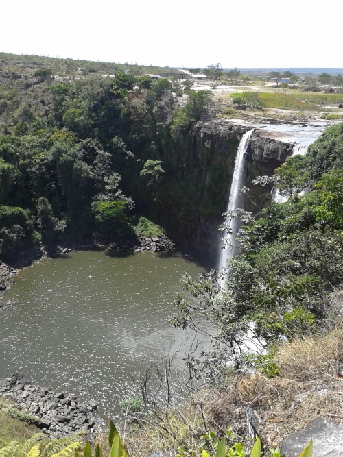 qossipteen:  For the jungle blogs xx. This is Gran Sabana, Venezuela. It’s about six hours from my c
