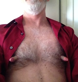 nipplepigs.tumblr.com post 151506826450