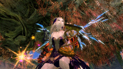 Guildwars2:   Partly Because I Don’t Have A Lot Of Focus Skins And Partly Because