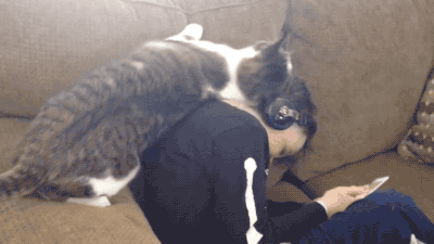 thelolgifs:  LOVE ME! 
