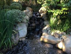 raingardens:  planthy:my dad thought the water looked like one of Van Gogh’s paintings  indie | plants