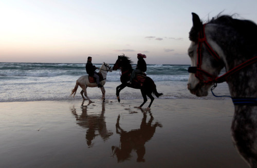 fotojournalismus:Palestinians ride horses on Gaza beach as the sun sets in Gaza City on February 15,