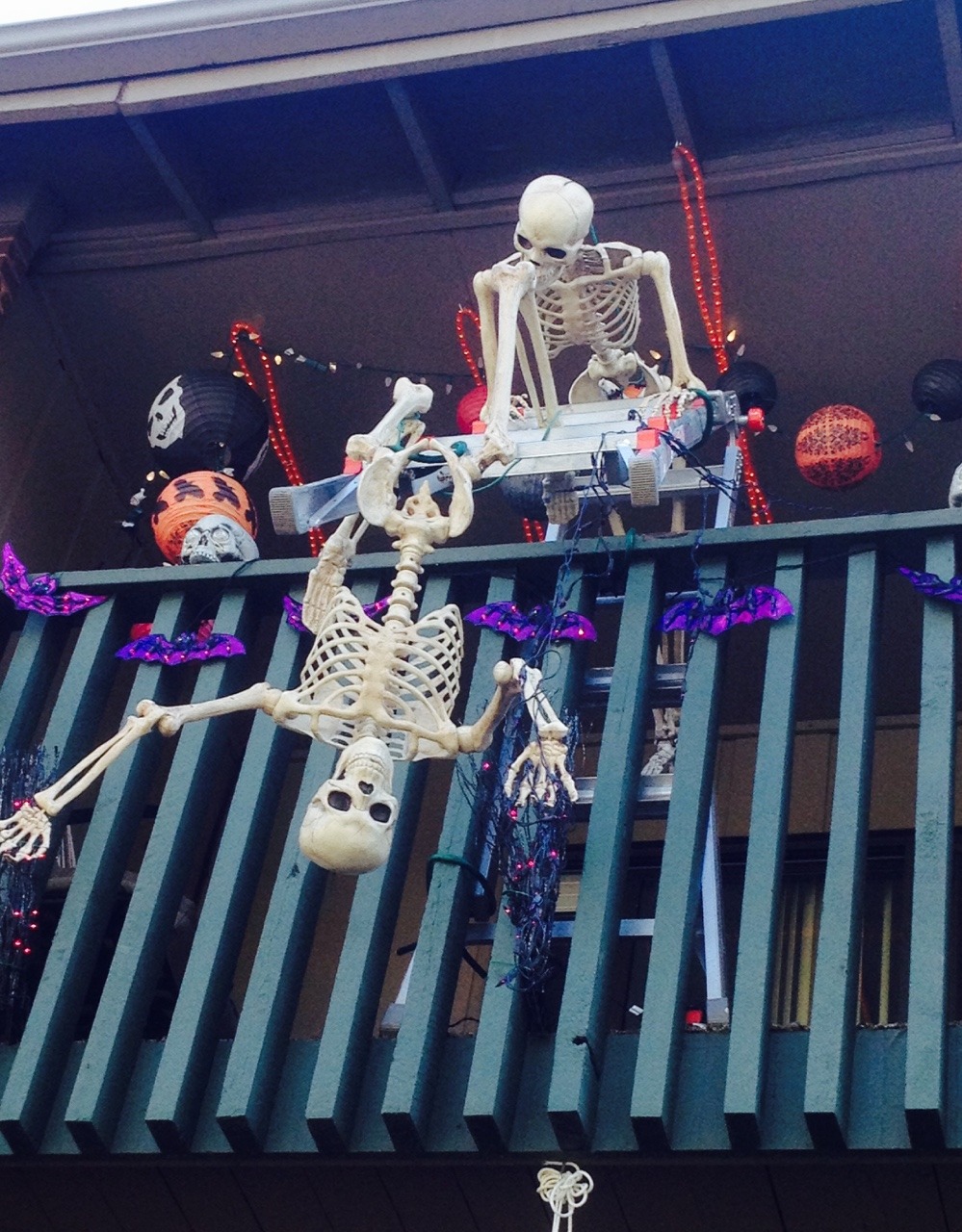 The most incompetent recon team in the skeleton wars are camped out at my neighbor&rsquo;s