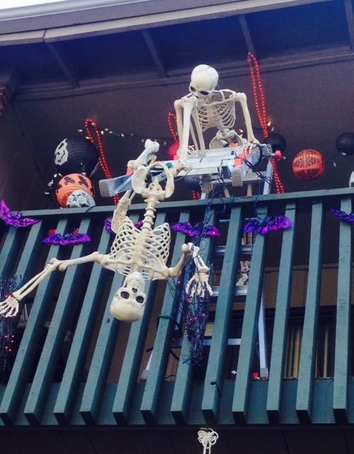 The most incompetent recon team in the skeleton wars are camped out at my neighbor’s apartment.