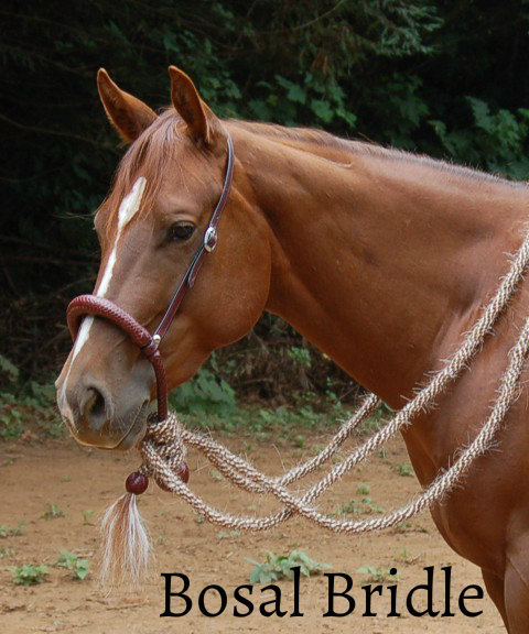 equine-mistreatment:  Why Hackamores, Although Bitless, Are Still not HumaneThe shanks on the mechanical hackamore provide leverage, just as the shanks on a curb bit do. Rather than pressure being applied inside of the mouth, the hackamore places pressure