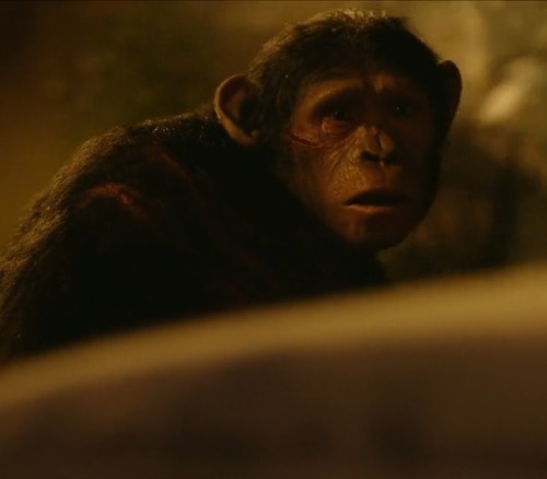So I Rewatched The Trilogy Recently And I Am Shaking Why Does Blue Eyes Look Like This The Entire Movie