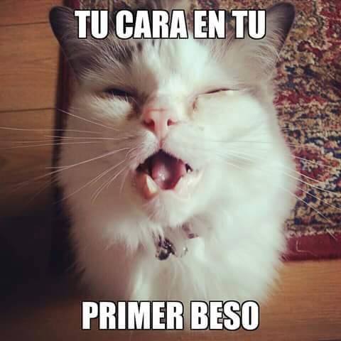 MENTE ENFERMA xD