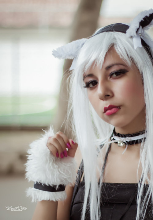 kittensightings:  Nekomimi Girl by DraconPhotography 