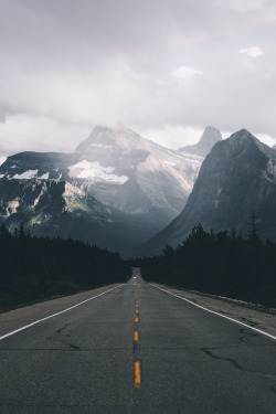 captvinvanity:  Johannes Hoehn | Roads worth driving