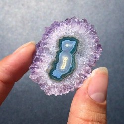 phenomenalgems:  🌸 A little bird told me you might like this…Amethyst “Flower” Stalactite slice, with high quality purple terminations around the edge. This gorgeous layered slice would be right at home in a display or jewelry supply collection.