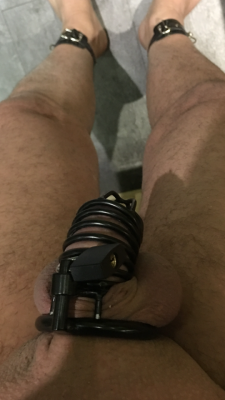 chastityadvocate:  shyboy40:  Followers keep