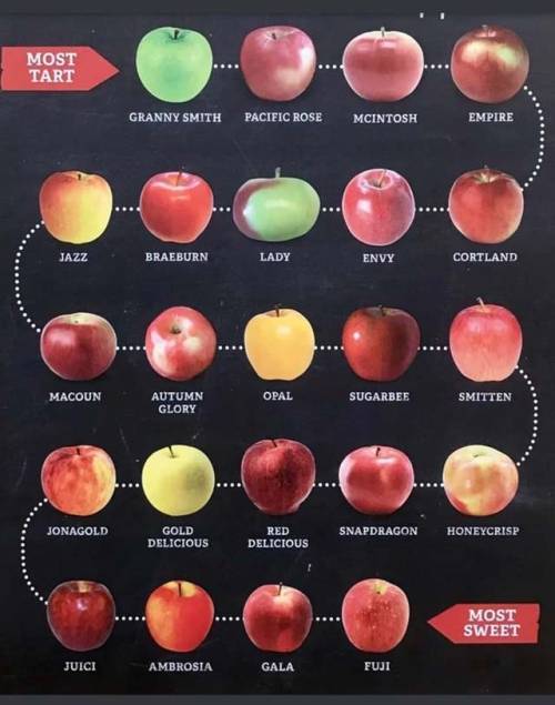 cannedviennasnausage: trashboat: great graphic, very helpful for selecting apples in regard to bakin