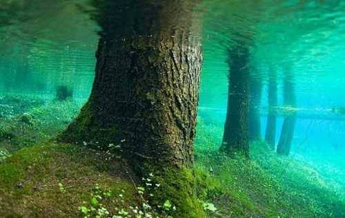 vurton:  Green Lake (Grüner See) in Styria, adult photos